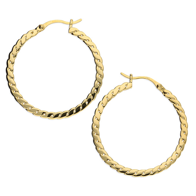 Anita Gold Earrings